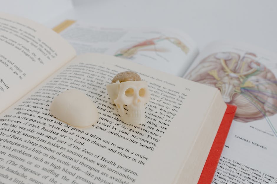 An open book with an anatomical skull model placed on top, surrounded by anatomical diagrams.