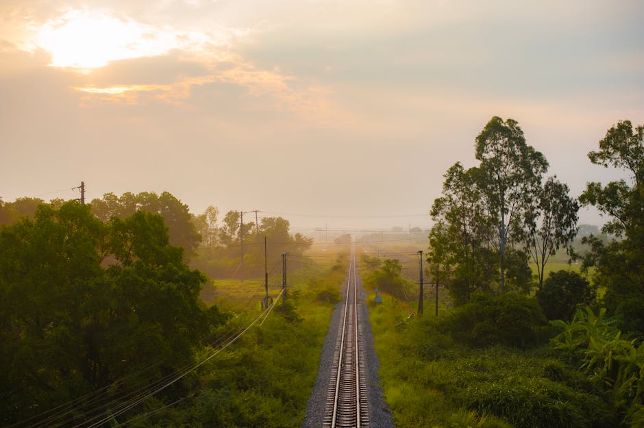 Scenic view of railway tracks at sunrise surrounded by lush greenery in Hà Nội, Vietnam.
